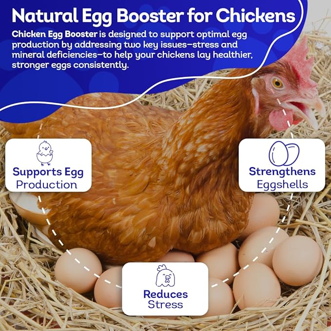 HealthyAnimals4Ever HA4E - Chicken Egg Booster Supplement - Supports Stronger Eggshells & Stress Relief - Highly Effective Homeopathic Formula - Natural Egg Strengthening Tablets - 300 Count