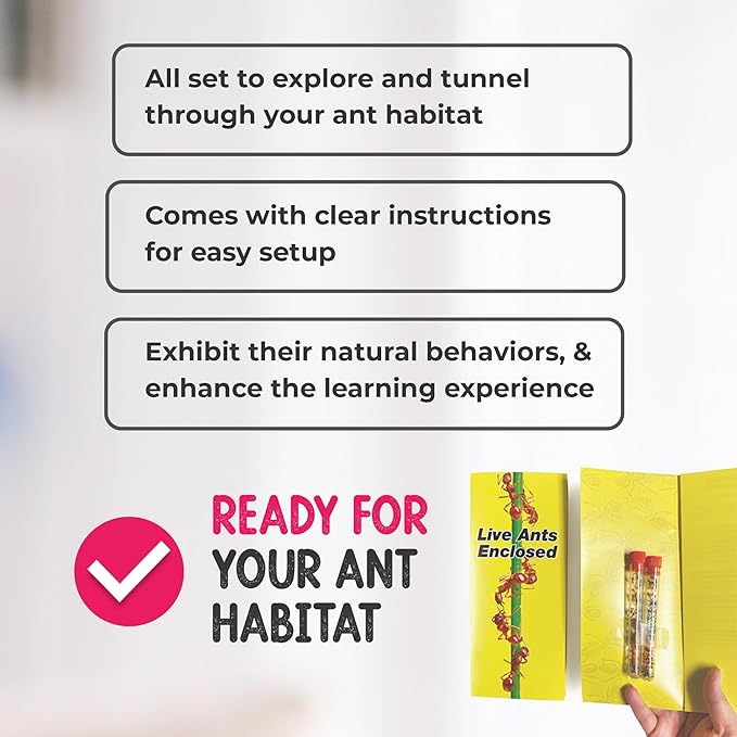 Live Ant Habitat Refill Kit - Includes 50 Live Red Harvester Ants, Ant Food, Honey - All-in-One Educational Insect Exploration Kit - Active Observation and Learning Experience Bundle