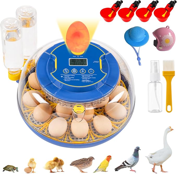 18 Egg Incubator for Hatching Eggs – Smart Auto Turner & Humidity Control, 360° View, Built-in Candler | Hatching Kit with Chick Helmet for Chicken, Duck, Quail | Ideal for Home & Classroom