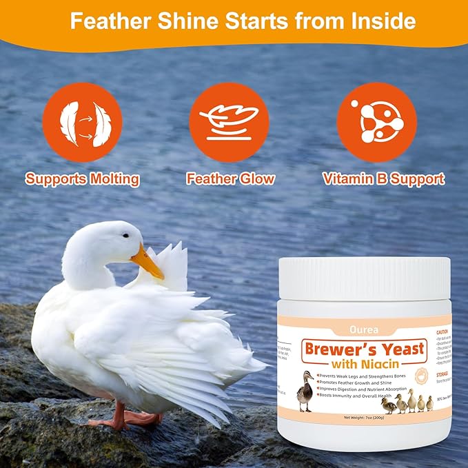 Ourea Brewer's Yeast with Niacin for Ducks, Supports Immunity Molt Recovery Severe Stress, Vitamins B Protein Amino Acids Supplement to Support Legs Bone Feather Health Growth Digestion for Duckling