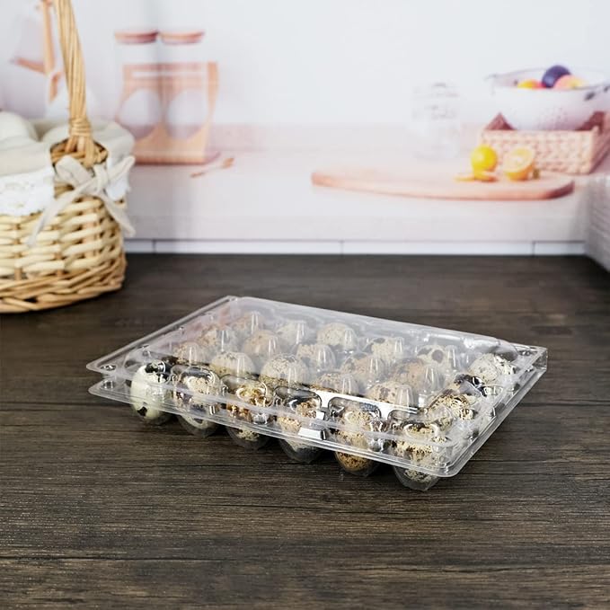 Quail Egg Cartons 60 Packs, Clear Eco-friendly Plastic Blank Egg Cartons with Free Labels, Holds up to 24 Quail Eggs Securely, Perfect for Family Pasture Farm Markets Display - Small