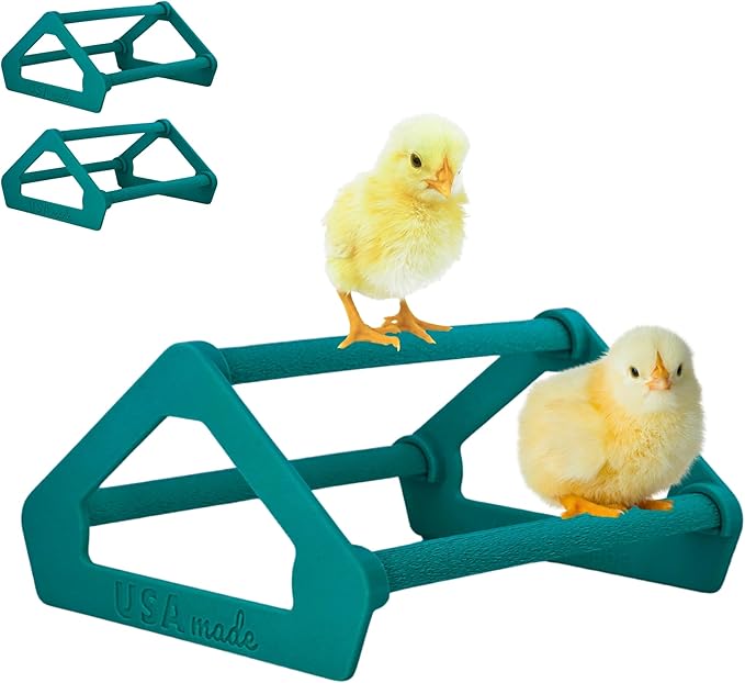 Roosting Perch for Baby Chickens, Chick Brooder Coop Training Toy Accessory, Easy Click Together Assembly, Durable Plastic, Mix and Match Colors, USA Made (Teal, 3 Pack)