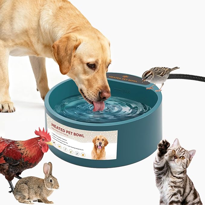 2.2L Heated Dog Bowl, Provides No Freeze Water, Pet Water Heater for Dogs/Cats/Chickens/Birds/Livestock, Green