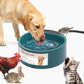 2.2L Heated Dog Bowl, Provides No Freeze Water, Pet Water Heater for Dogs/Cats/Chickens/Birds/Livestock, Green