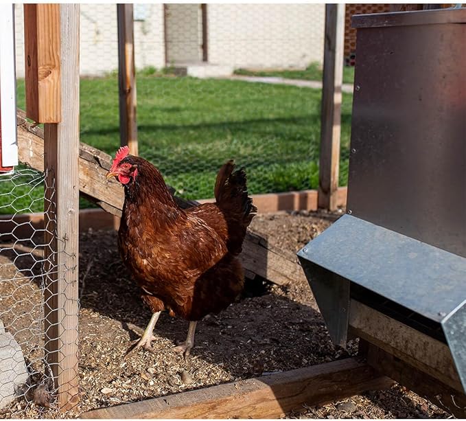vensovo Galvanized Chicken Feeder - 25Lbs Outdoor Waterproof Metal Feeder with Lid, Coop Food Dispenser No Waste for Chicken, Haning or Stand
