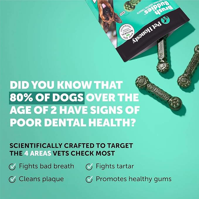 Pet Honesty Brush Buddies All Natural Dog Dental Treats for Dogs – Long Lasting Dental Sticks for Dogs, Teeth Cleaner, Breath Freshener, Plaque & Tartar Remover – Large Sized Dogs (8 Count)