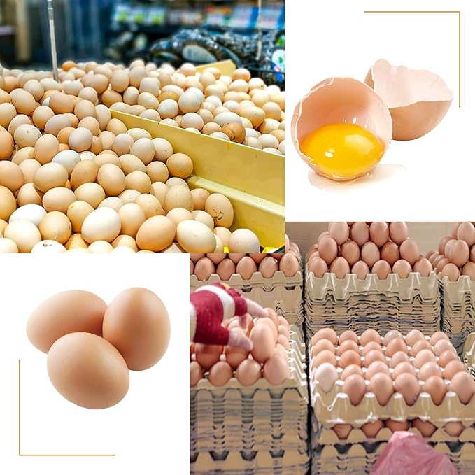 18 Flats 30-Cell Egg Crate（Holds 30 Eggs）, Cardboard Egg Cartons, Sturdy and Stackable Egg Flats, Perfect Egg Crates for Fresh Eggs, Chicken Farm