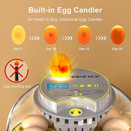 Incubator for Hatching Eggs-12 Egg Capacity, 2026 Newly Upraded Automatic Egg Turner, Temperature & Humidity Control, 360° Viewing for Chicken, Duck and Quail Eggs (Grey)