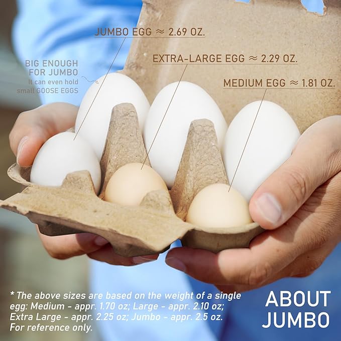 Jumbo Duck Egg Cartons 80 Pack- Holds Up to Half Dozen 6 Count Eggs Bulk Blank Container Empty Cardboard Thickness Natural Pulp Egg Boxes, with Stickers
