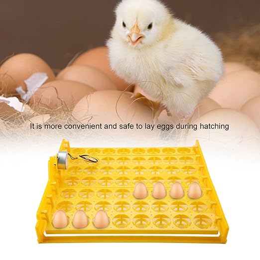 56 Egg Mini Egg Incubator with Automatic Turning Tray and Motor, Ideal for Poultry Hatching
