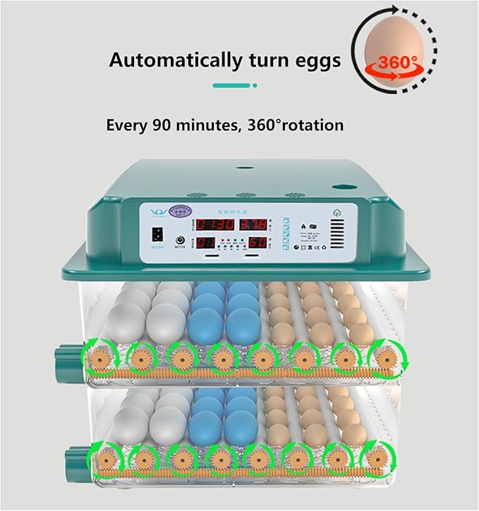 Egg Incubator, 12 Egg Incubator Digital with Temperature Control and Automatic Turning Chicken Poultry for Duck Goose Quail