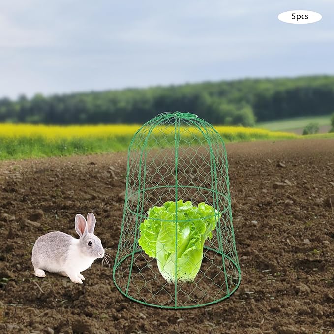 YIYIBYUS Garden Chicken Wire Cloche, 12.99" Diameter x 15.75" Height Plant Protective Covers Metal Cage Plant Protector Cover for Gardens, Parks, Yards, Balconies, Farms (5pcs, Green)