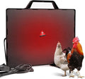 chicken heater (15x11.8)