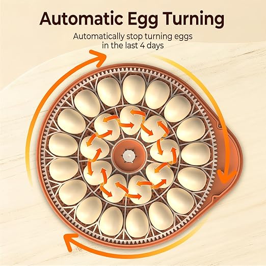 HOWOOlUA 56 Egg Incubator for Hatching Eggs with Auto Turn, Temp & Humidity Control, Built-in Candler Large Capacity Egg Incubator for Chicken Duck Goose Eggs (26-Orange)