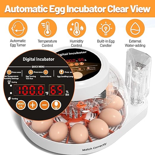 12 Egg Incubator for Hatching Eggs with Automatic Egg Turning, Temperature & Humidity Control Display, Built-in LED Egg Candler, External Water Adding System, Chicken Duck Quail Hatcher