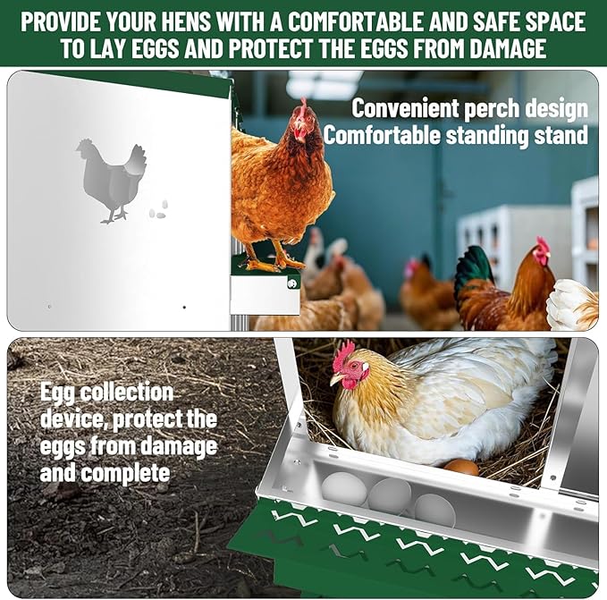 Chicken Nesting Box, 8 Holes Steel Chicken Nesting Boxes for Chicken Coop, Large Vented Holes Chicken Laying Boxes with Rollout Egg Collection, Wall Mount Coops for Chickens, Hens, Green