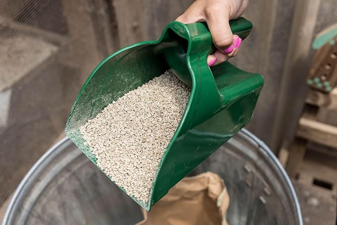 My Favorite Chicken Green Feed Scoop, 2.5L Capacity, Durable Plastic with Ergonomic Handle, for Pellets, Crumbles, Mash, Grains, Poultry Supplements