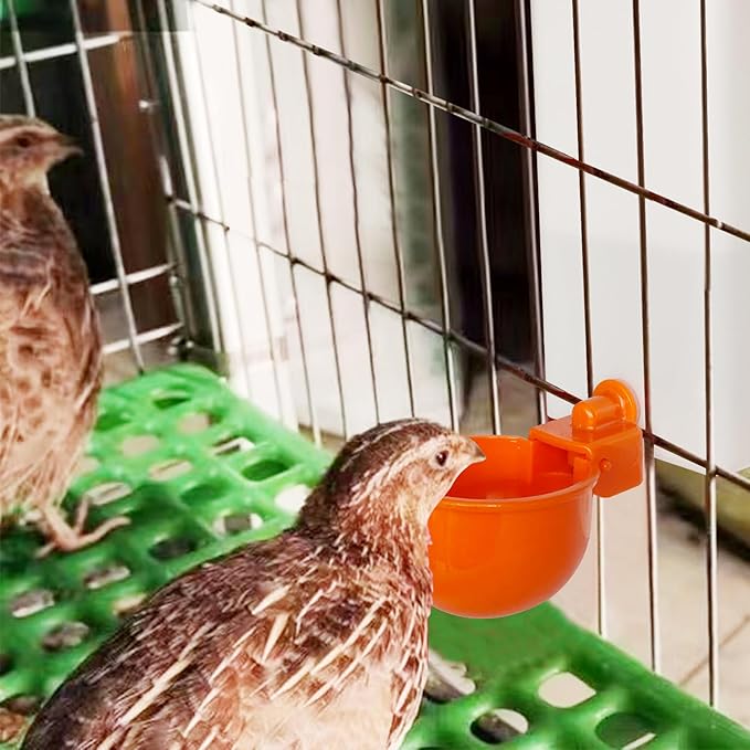 Automatic Waterer System Chick Drinker Cups 1L Hanging Automatic Fill Poultry Watering Cup Used for Cage (White, 2)