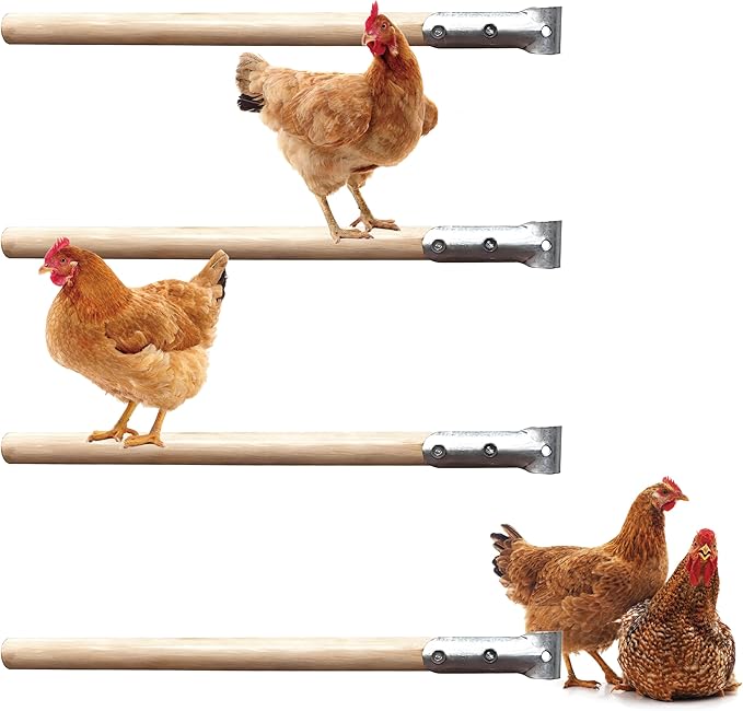 4 pcs Chicken Roosting Bars Single Wooden Pole, Chicken Supplies For Coop,Chicken Coop Simple Accessories,Angle-Adjustable Chicken Coop Toys,Birds Training Platform For Cockatiels Lovebirds And Parrot