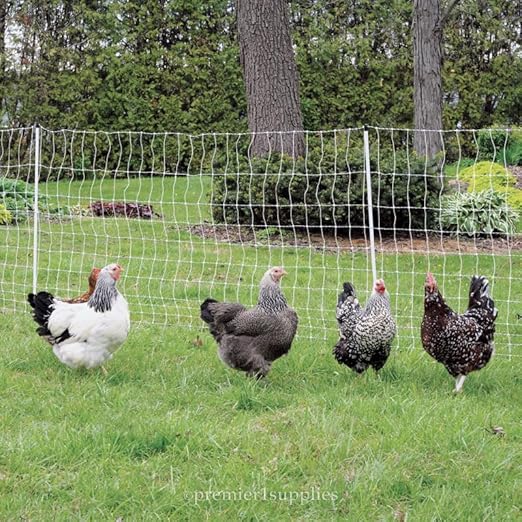 Premier 1 PoultryNet® Plus, 48"H x 100'L Electric Fence Starter Kit | Extra Line Posts to Reduce Sag | Includes: Plug-in Energizer, Insulated Cable, FiberTuff™ Support Posts and Tester | White/Black