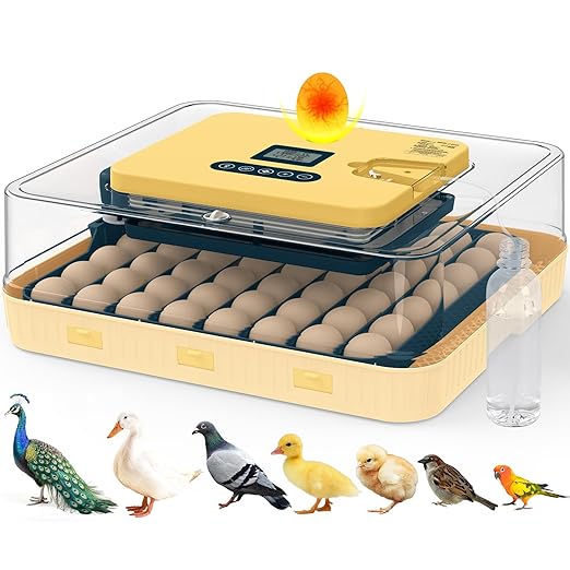 Incubators for Hatching Eggs, 56 Eggs Incubator with Egg Candler, Auto Egg Turner, Temp & Humidity Control, Hatch Day, 360° Viewing for Chicken, Duck, Quail Eggs, Ideal for Farm, School and Lab