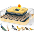 Incubators for Hatching Eggs, 56 Eggs Incubator with Egg Candler, Auto Egg Turner, Temp & Humidity Control, Hatch Day, 360° Viewing for Chicken, Duck, Quail Eggs, Ideal for Farm, School and Lab