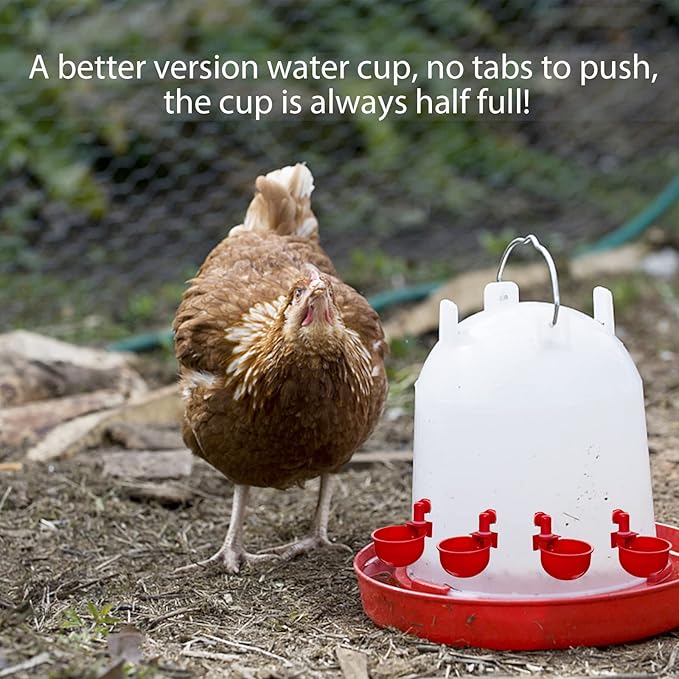 Chicken Water Cup Waterer for Poultry, 3/8 in Automatic Filling Waterer Poultry Drinking Bowl Chicken Water Feeder, Automatic Poultry Drinking Bowl for Duck Turkey Rabbit Geese Farm (6)