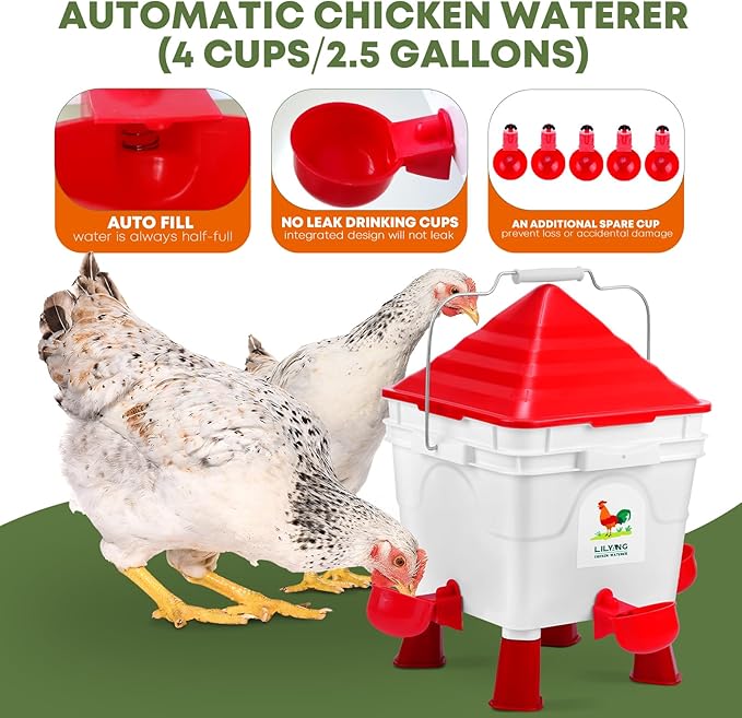 Lilyang Standing Chicken Feeders and Chicken Waterers, 2.5 Gallon Chicken Water Feeder with 4 Cups, 13.5 lb Automatic Chicken Feeder No Waste, for 8-10 Adult Chickens or 10-15 Quails (Standing)