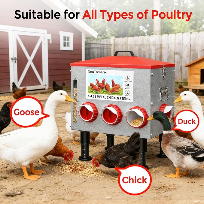 55lbs No Waste Automatic Chicken Feeder, Large Metal Poultry Feeder with 8 Feeding Ports & View Window, Weatherproof, Adjustable Height, and Locking Lid for Chickens, Ducks, Geese