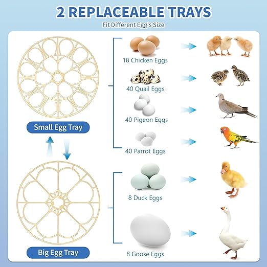 18 Egg Incubator with Automatic Egg Turning & Humidity Control - Perfect for Hatching Chicken, Duck, and Quail Eggs | 360° Viewing Window, Temperature Control, Ideal for Farm, Lab