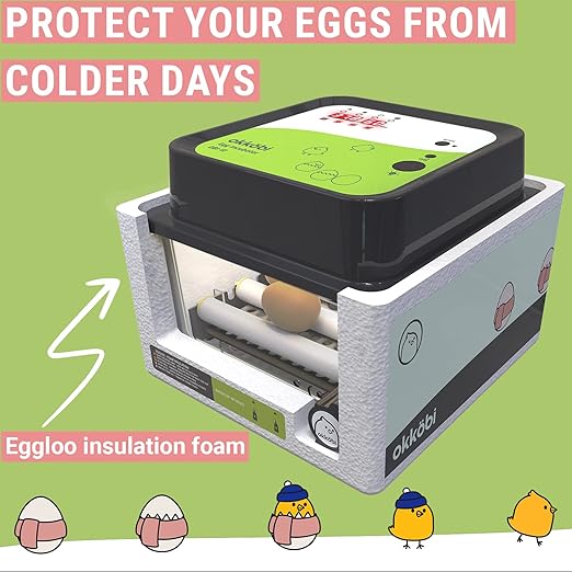 OBI-12 Incubator for Hatching Eggs – 12 Eggs, Easy to Use, Stable Temperature & Humidity Control with Eggloo Insulation - Green