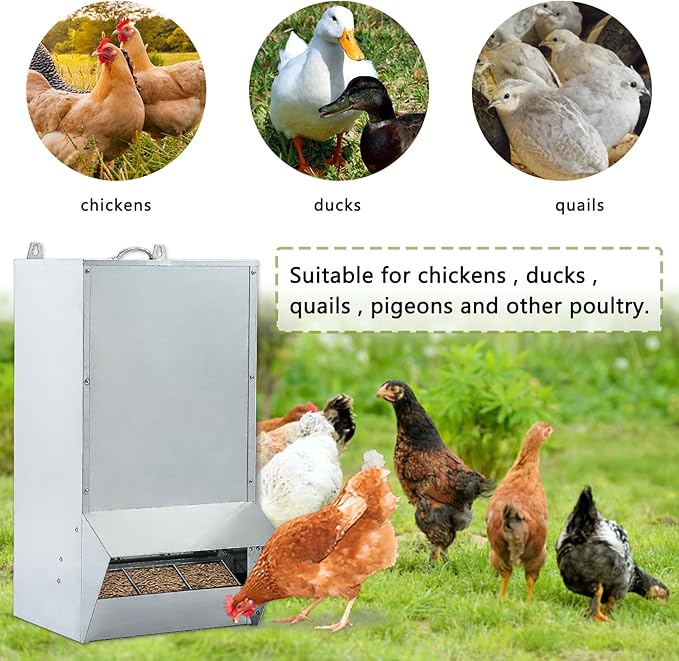 30lbs Capacity Galvanized Chicken Feeder,Outdoor Poultry Feeder with Weatherproof Lid,Hanging Chicken Feeder, Coop Food Dispenser