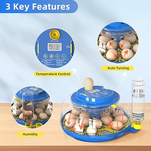 18 Egg Incubator for Hatching Chicken, Duck, Quail Eggs – 360° Visible Lid, Automatic Turning & Humidity Control, Built-in Egg Candler – Ideal for Home & Classroom Science Projects