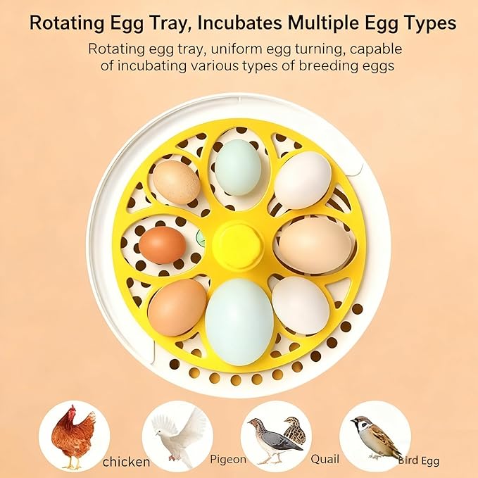 Tissting Mini Compact Egg Incubator Holds 4 Large or 8 Quail Eggs USB Powered with Auto Features - Auto Egg Turner with Temperature Control & Egg Candler for Chicken Duck Quail Eggs