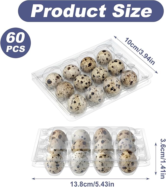 60 Pcs Quail Egg Cartons, Square Dozen Egg Boxes, Classical 3x4 Style Holds Up to Twelve 12 Count Small Quail Eggs Basket, Bulk Carton Quail Egg Tray Container for Refrigerator