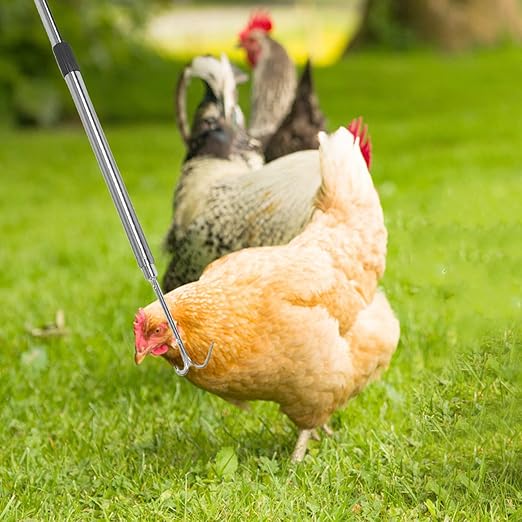 Stainless Steel Poultry Catcher Hook with Steel Mesh Leg Hook for Outdoor Farm Use, Adjustable Chicken Catching Tool for Coop and Livestock Handling