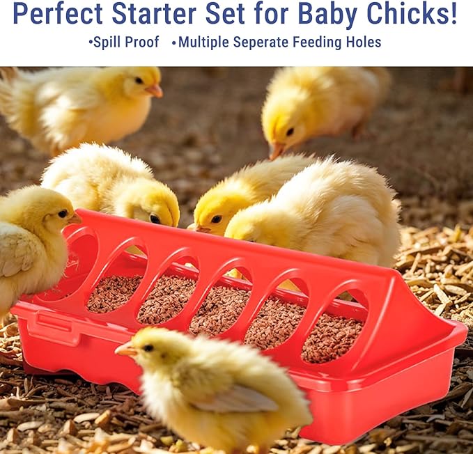 5pcs Flip Top Poultry Feeders, Spill Proof Chick Feeder Trough Quail Feeder No Waste No Mess Plastic Pigegon Feeder Small Poultry Coop Feeder for Chick,Bantam,Duckling,Parrot,Other Birds