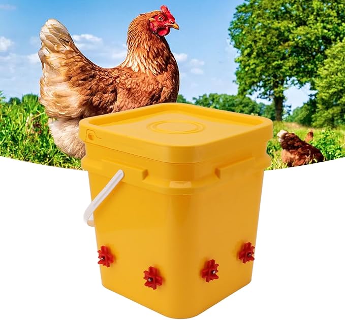 High Capacity Automatic Chicken Waterer Bowl with 12L Handheld Bucket Gravity Watering System for Quail, Easy Installation - Durable Plastic (Bucket + Four Corner Drinker + Black Screws)