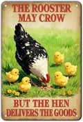 Funny Rooster Decor The Rooster May Crow But The Hen Delivers The Goods Rustic Tin Sign For Home Farm Chicken Coop Decor 12x8 Inch