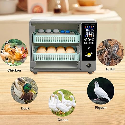 24 Egg Incubator, Automatic Egg Turner Hatching Machine with Candling Light Auto Water & Automatic Temperature & Humidity Control | Adjustable Egg Tray for Chicken Duck Quail Pigeon