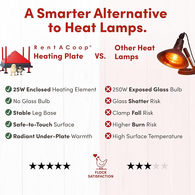 RentACoop 12x12” Adjustable Heating Plate with Bonus Foldable Anti-Roost Cone for up to 20 Chicks | Chick Brooder Heat Plate – Energy-Efficient 22-Watt Chick Heater - Safer Than Heat Lamps