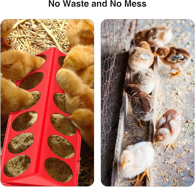 Chick Feeder and Waterer Kit - Baby Chicken Supplies with Chicks Perch, Plastic Feeder Trough and 1.2L Waterer, Chicken Starter Kit for Coop and Brooder for Small Poultry Ducks Quail