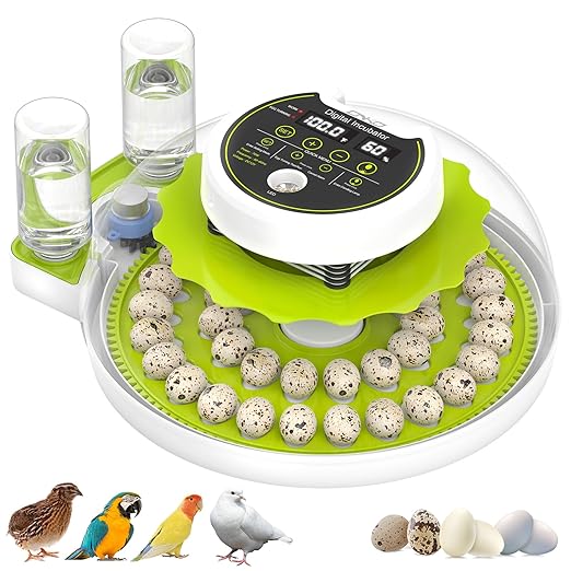 Quail Egg Incubator for Hatching 40 Quail Eggs with Automatic Turner and Humidity Control, Small Quail Brooder, Outdoor Poultry Egg Incubator, Suitable for Quail Parrot Canary and Other Bird