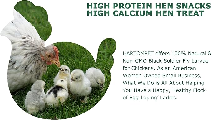 Dried Black Soldier Fly Larvae for Chickens - Non-GMO Poultry Feed Supplement, 85X More Calcium Than Mealworms, 1LB BSF Worms Treat for Molting & Laying Hens, Ducks & Wild Birds