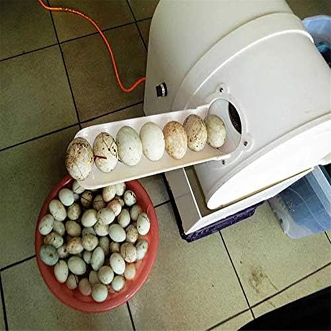 NYMFEA Automatic Egg Cleaning Machine, 120W, Commercial Chicken Duck Goose Egg Brushing Machine, ABS Body, Nylon Brush, 220V