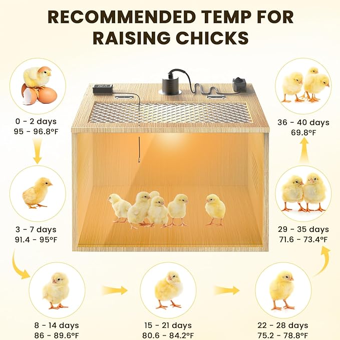 Brooder Box for Chicks, 16 Inch Wooden Chicken Brooder Box with 75W Heat Lamps, Thermometer and Tin Foil, Poultry Breeding Kit, Ideal for 5-7 Newborn Chicks Ducks Quails Hamsters, Small