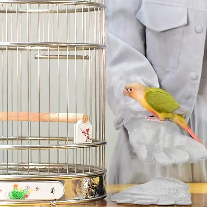 QBLEEV 1 Pair Bird Handling Anti-Bite Gloves, Small Animal Bite Proof Gloves for Training