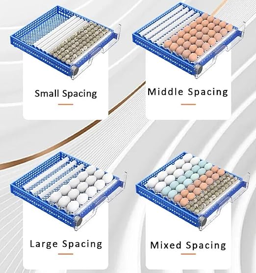 Automatic Incubator for Hatching Eggs, Upgrade Automatic Water Adding, Chicken Incubator with Temperature and Humidity Control Chicken Egg lamp for Hatching Chicken Duck Quail Eggs, 192 Eggs