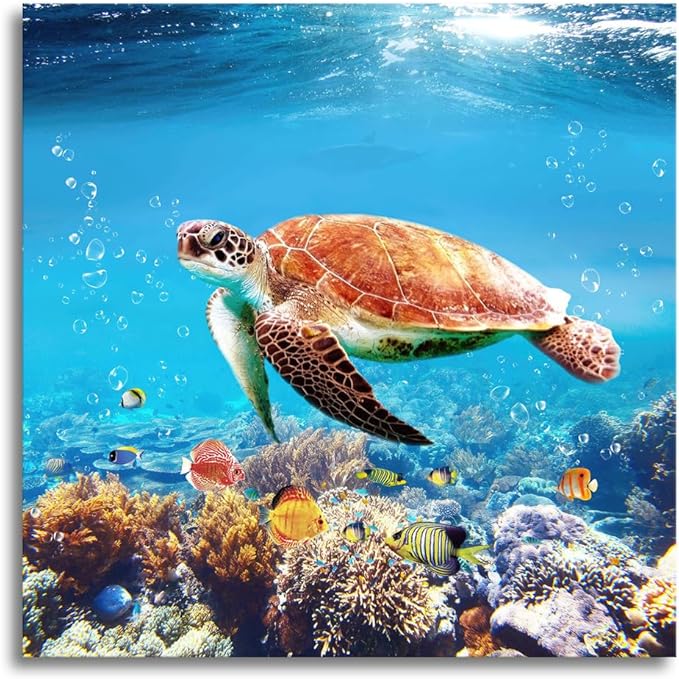 Woxfcart Sea Turtle Canvas Wall Art Tropical Turtle Picture Gift Sea Life Teal Ocean Animal Prints for Bathroom Bedroom Living Room Decor, 24 x 24 Inch, Ready to Hang