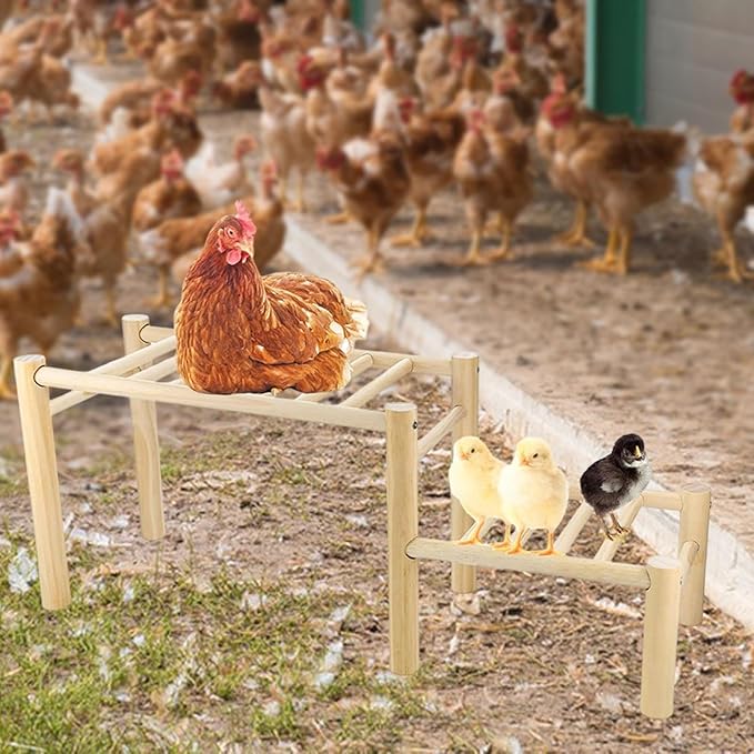 Chicken Perch for Coop Roosting Bar Wooden Toy Sturdy Habitat Decor Gym Frame Standing Rack for Entertainment Training